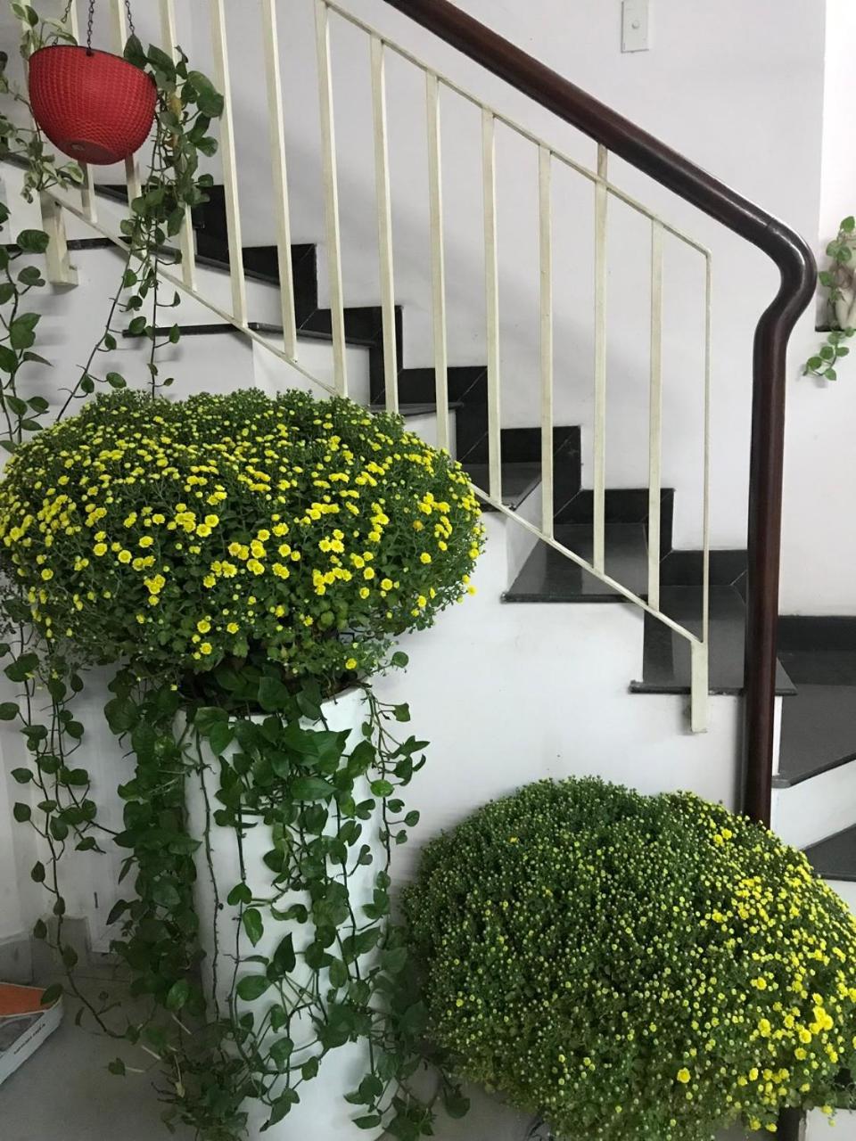 Vanapartment Хошимин Экстерьер фото